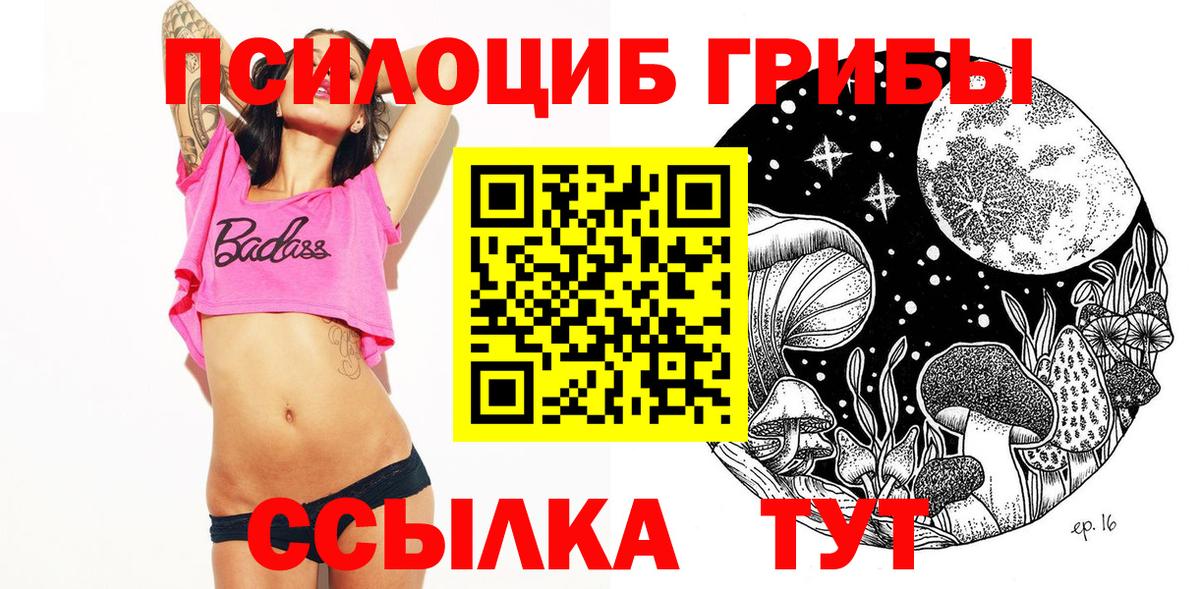 Псилоцибиновые грибы мицелий Ливны
